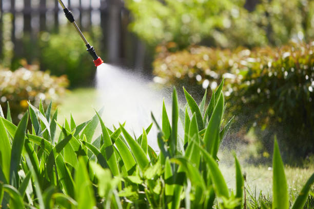 24/7 Emergency Mosquito Control experts in Wilmore, KY
